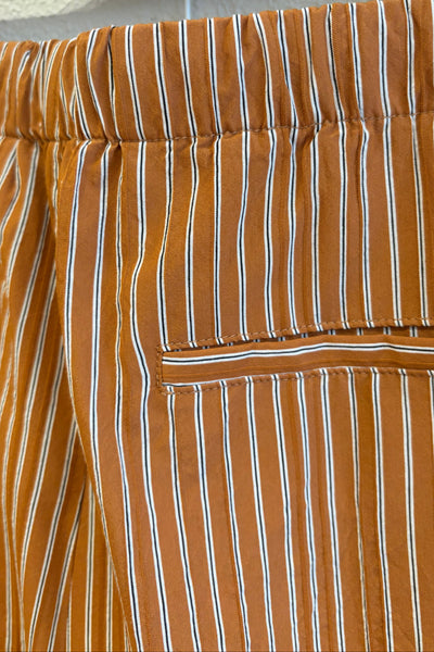Pantalon rayé Rust