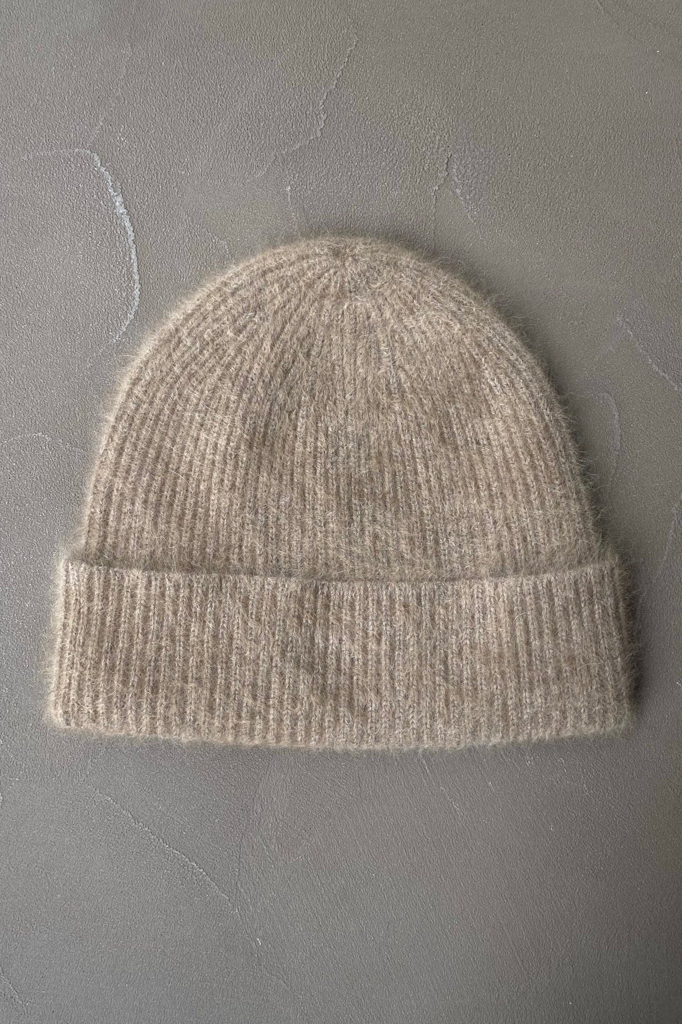 Bonnet Camel